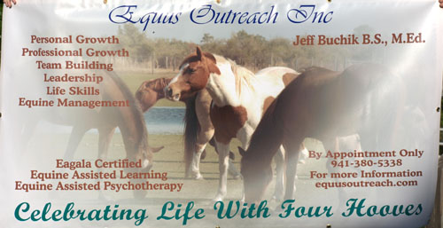 equus banner